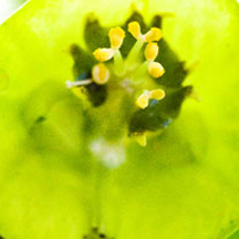 【英文版】国际化的攻击网站教程